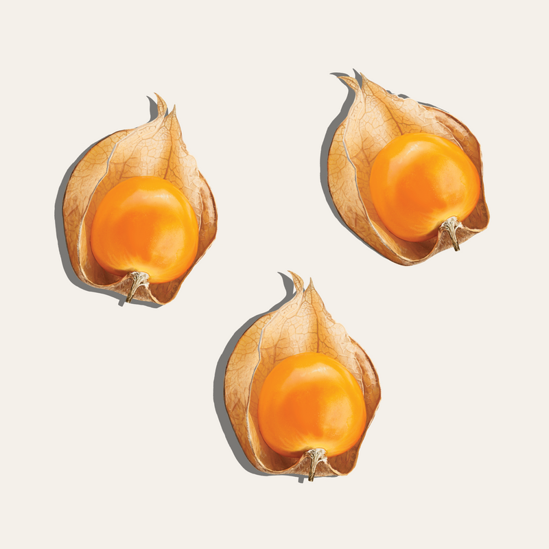 Salento Provisions - Dried Goldenberries
