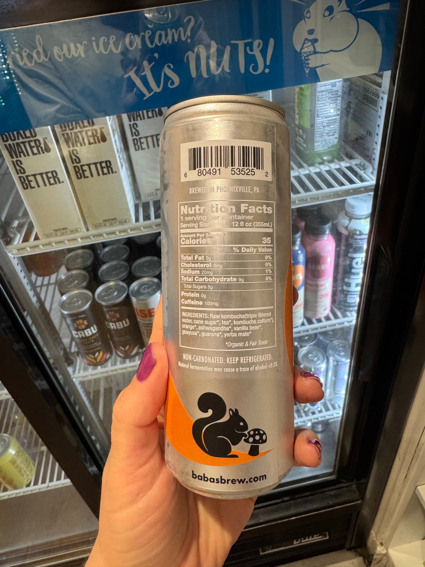 Baba's Turbo Squirrel Kombucha - Orange Vanilla
