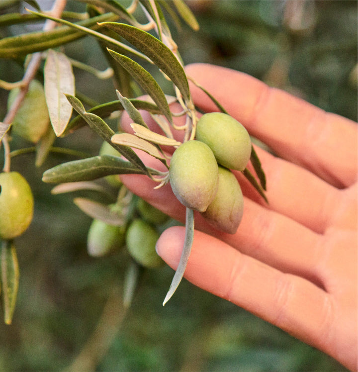Graza - Drizzle Extra Virgin Olive Oil