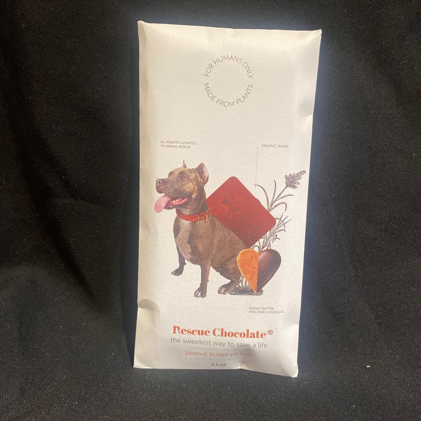 Rescue Chocolate - Peanut Butter Pit Bull
