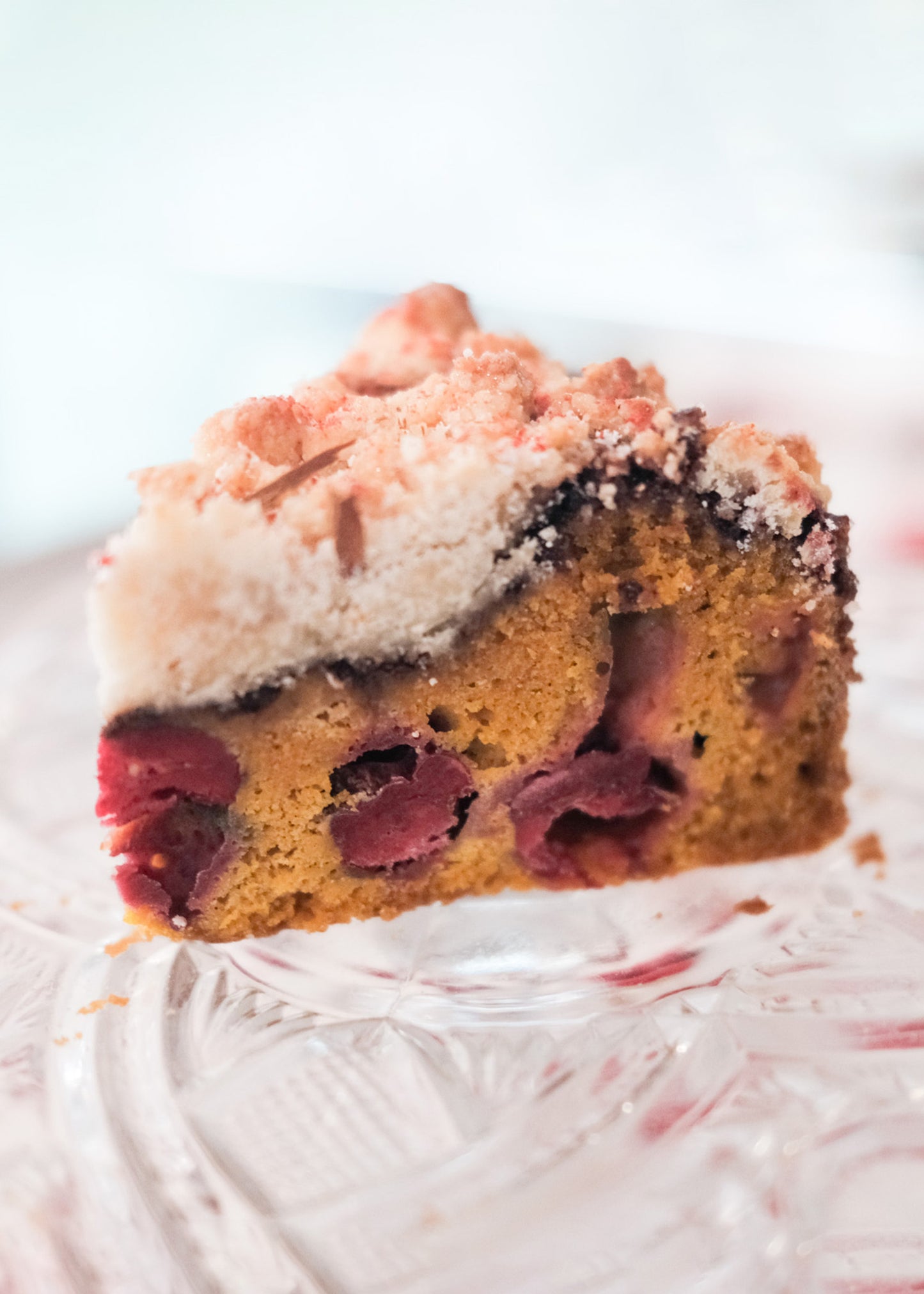 Thanksgiving Preorder: Sweet Maresa's Pumpkin Cranberry Crumb Cake