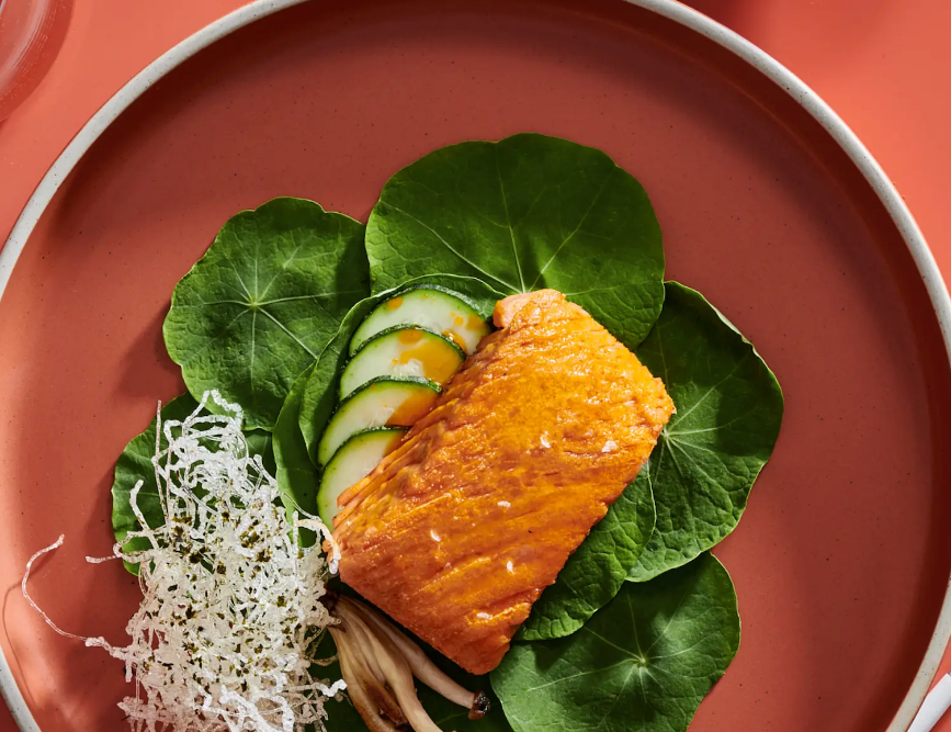 Oshi - Salmon