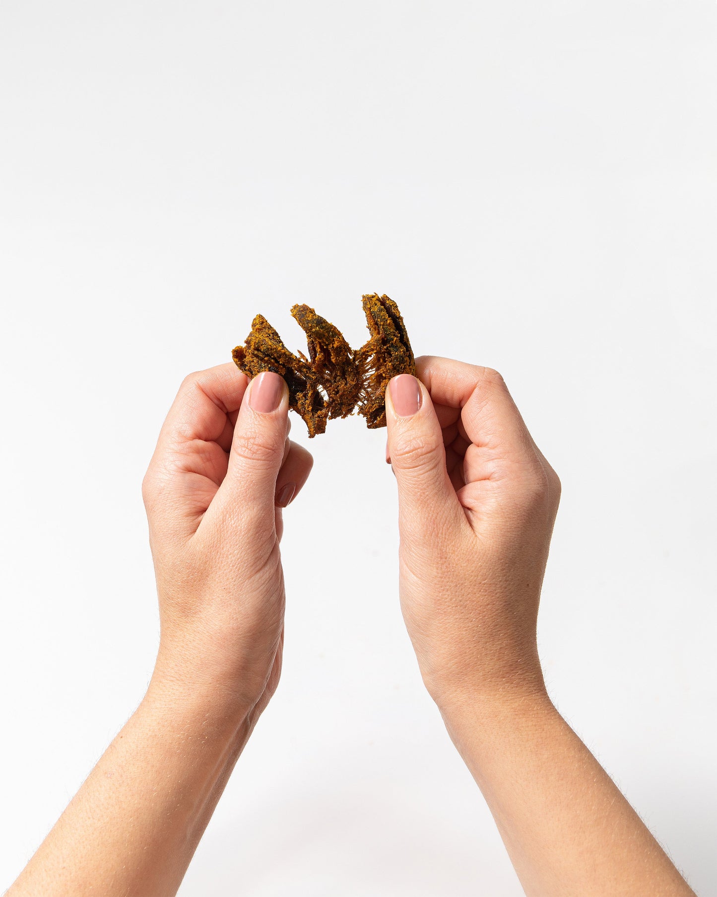 Pan's Mushroom Jerky - Teriyaki